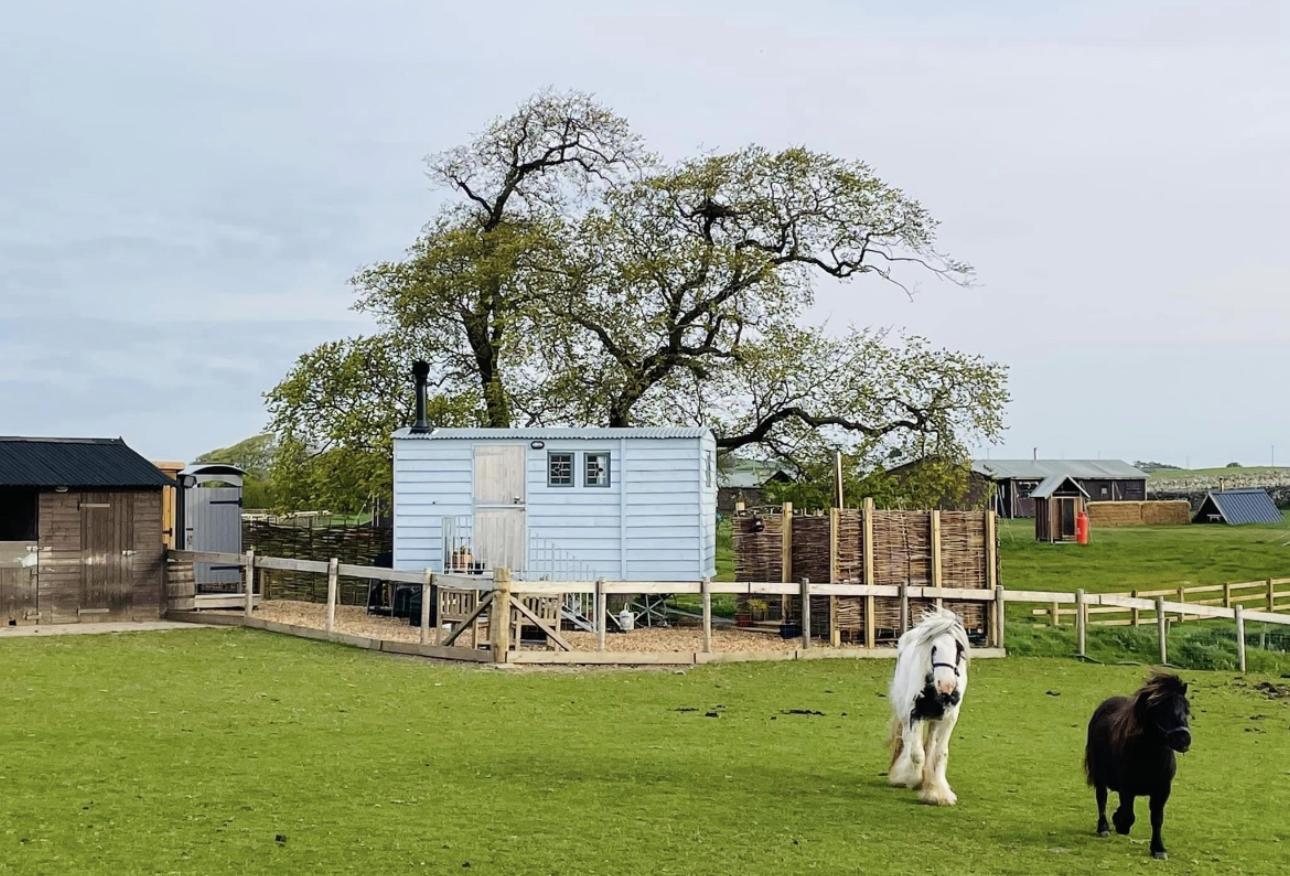Ketburn Shepherd's Hut at Balnab