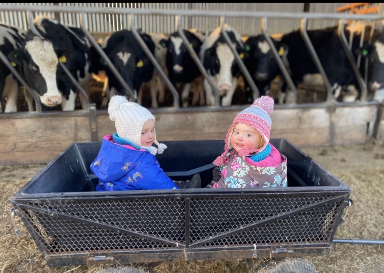 Farm tour at Balnab Dairy Farm