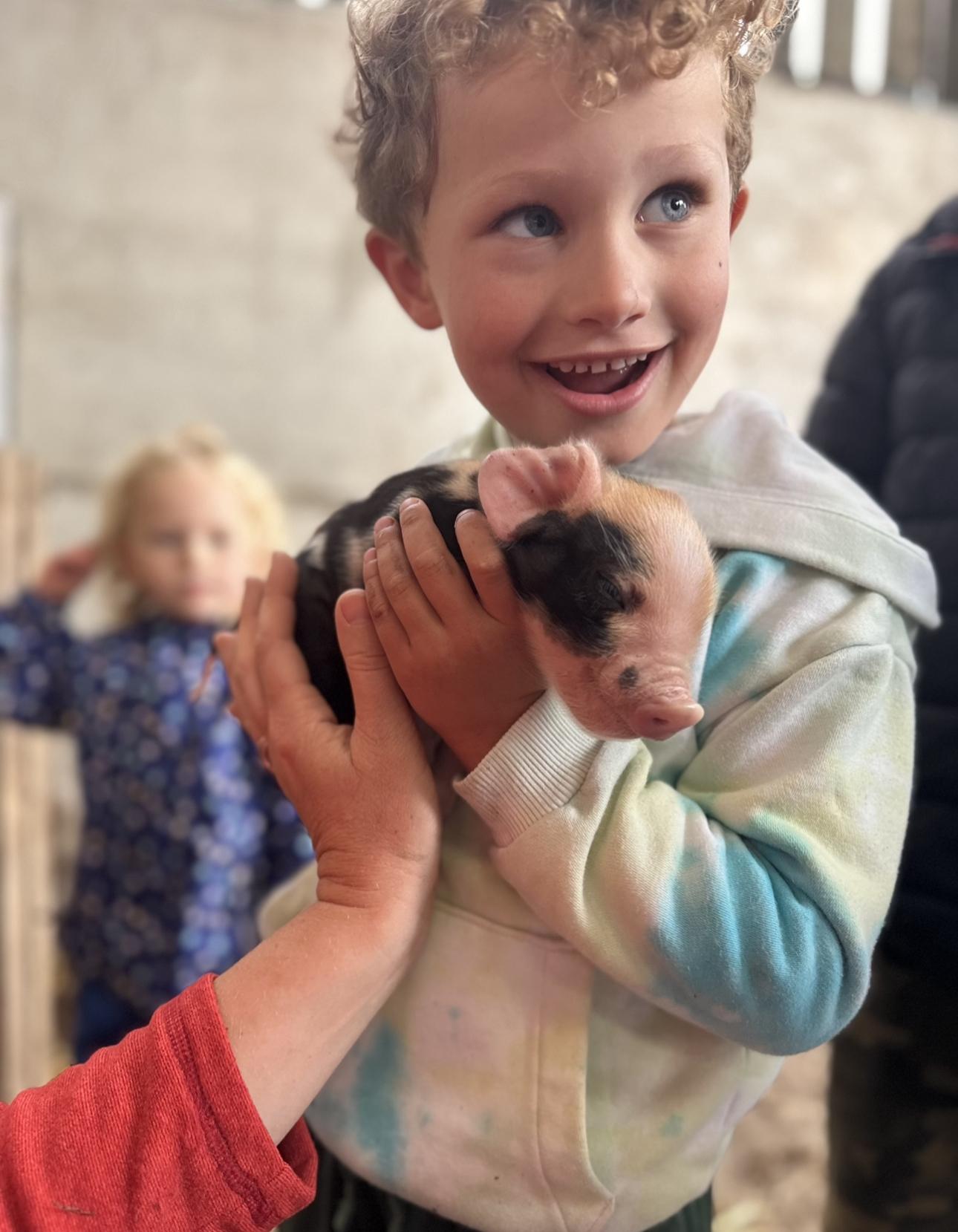 Farm tour at Balnab Dairy Farm