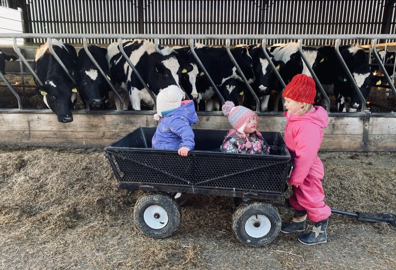 Farm tour at Balnab Dairy Farm