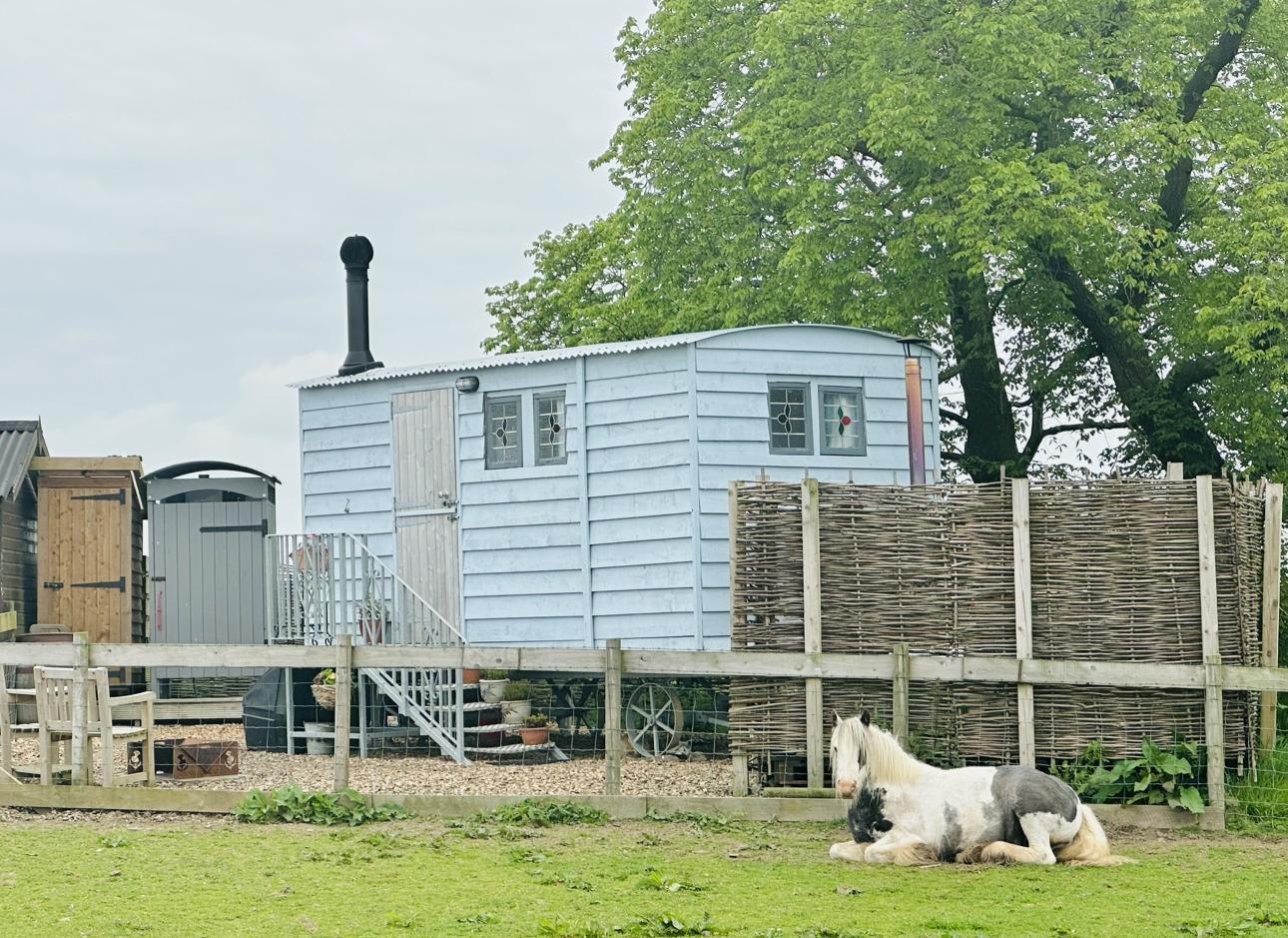 Ketburn Shepherd's hut at Balnab