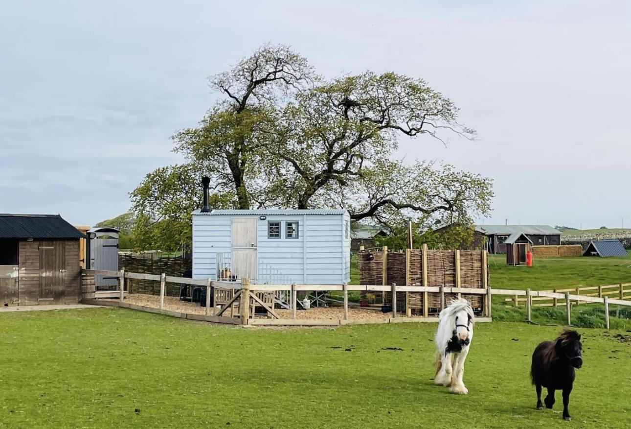 Ketburn Shepherd's Hut at Balnab