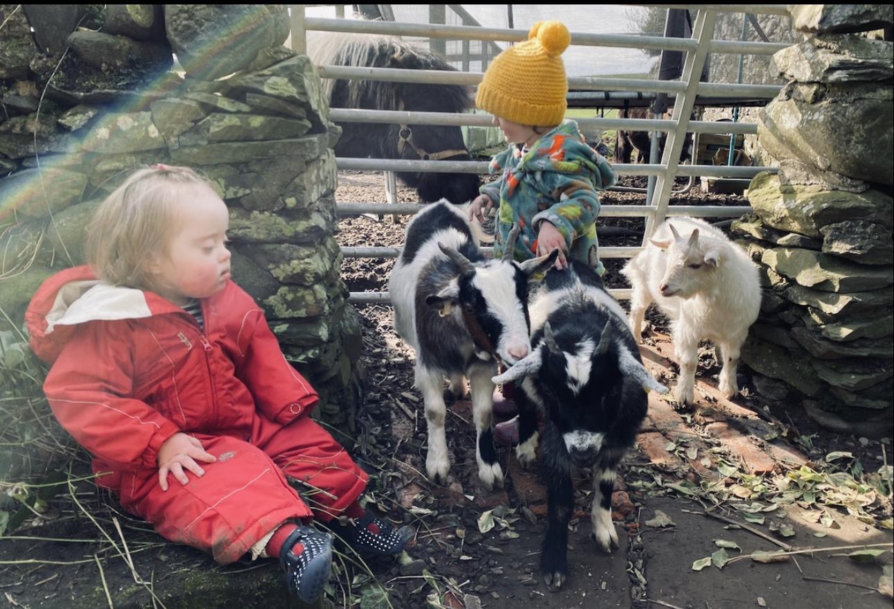 Meet the goats at Balnab Dairy Farm