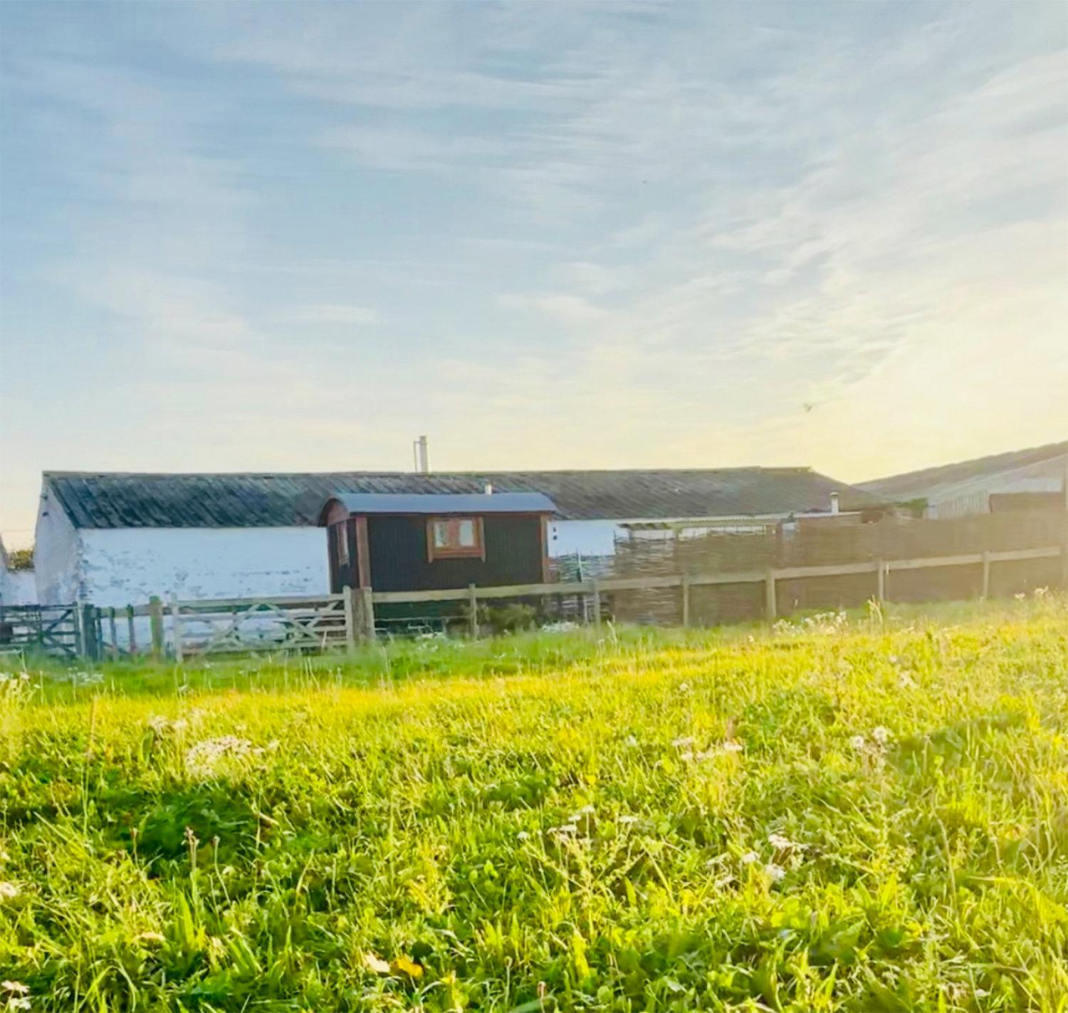 Black Sheep shepherds hut at Balnab Farm