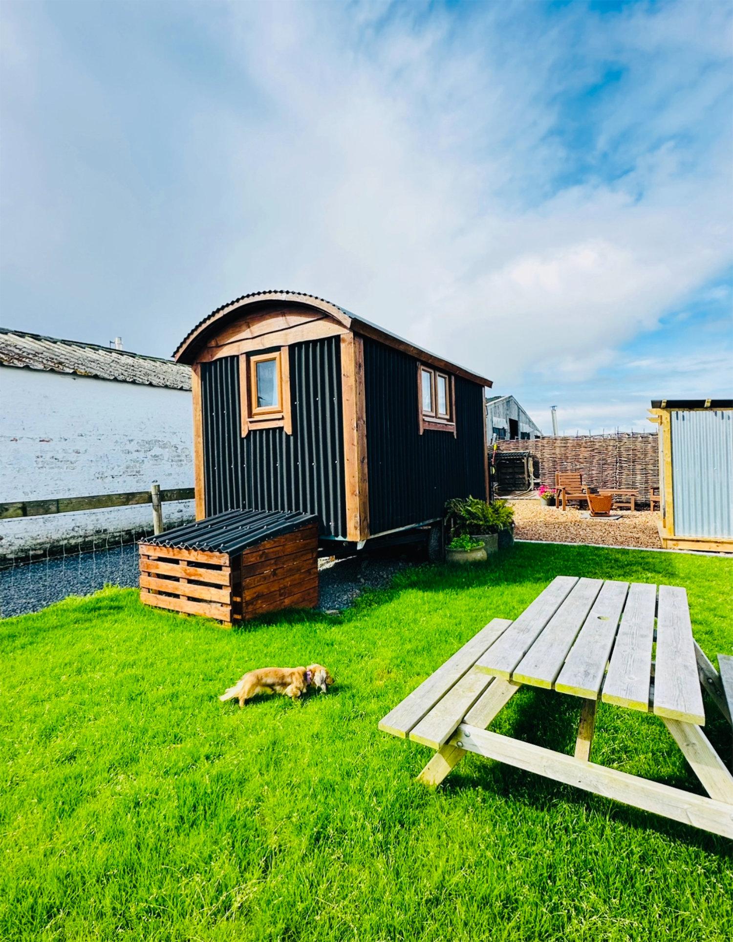 Black Sheep shepherds hut at Balnab Farm