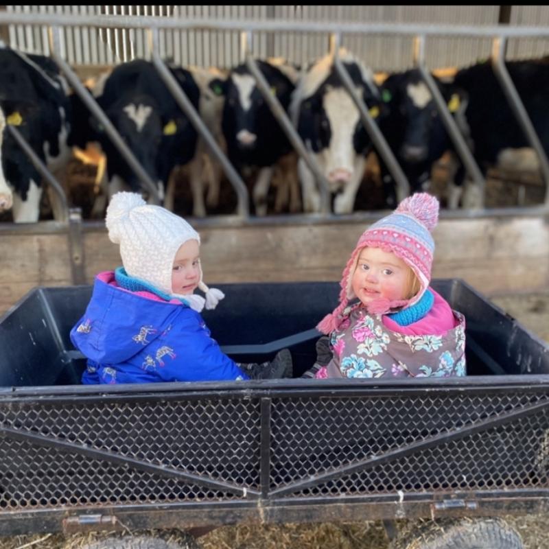 Farm tour at Balnab Dairy Farm