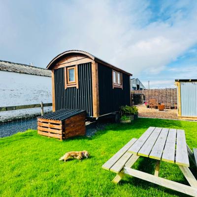 Black Sheep shepherds hut at Balnab Farm